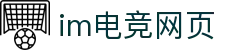 IM(股份有限公司)电竞-电子竞技平台